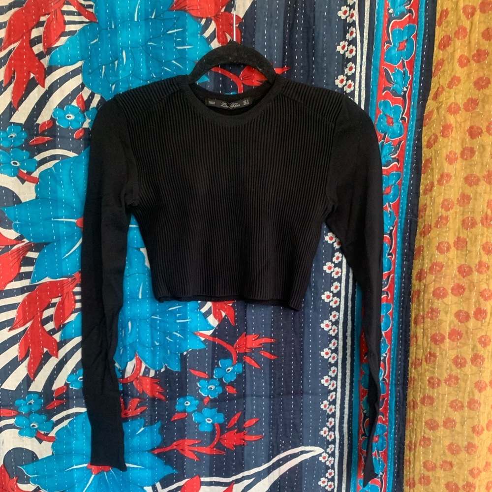 Zara long sleeve crop top